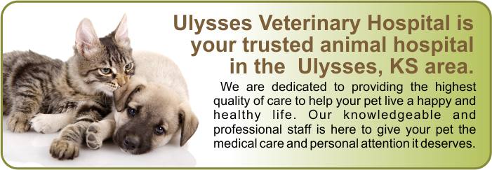 Ulysses Veterinary Hospital